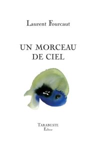 Laurent-Fourcaut-un-morceau-de-ciel