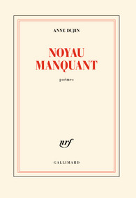 Anne-dujin-noyau-manquant