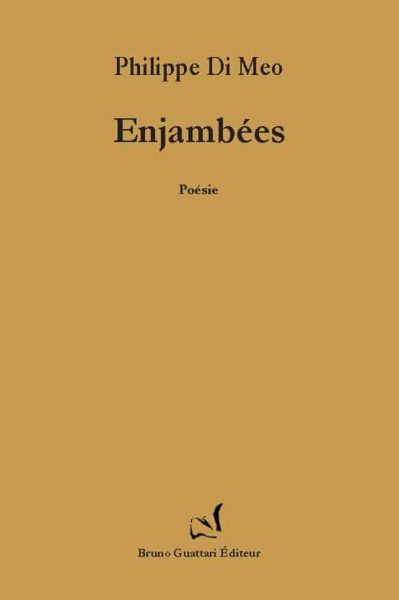 Philippe-Di-Meo-Enjambees