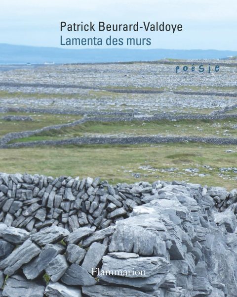 Lamenta couverture